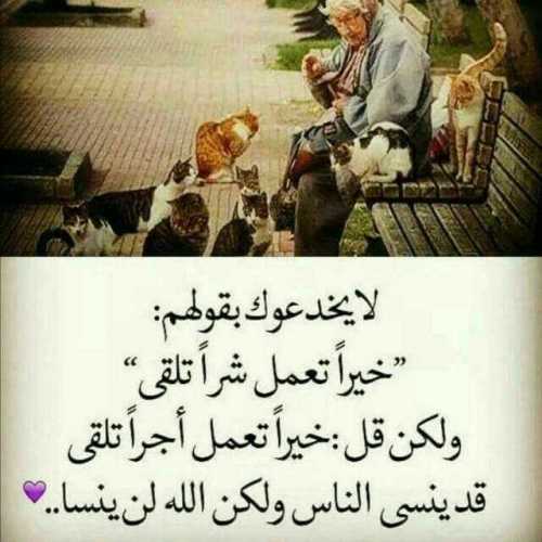  شعر عن العمل الخيري 