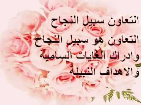 كلمة عن التعاون 