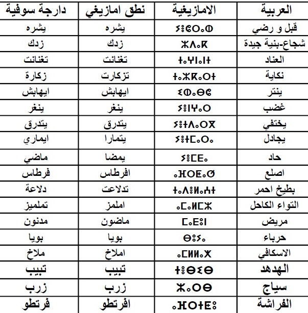 كلمات عامية جزائرية 