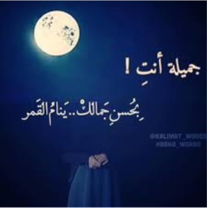 ابيات شعرية عن المراة