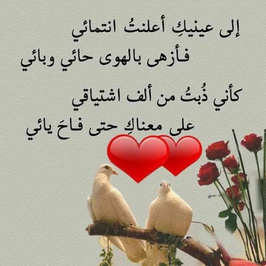 ابيات شعرية عن الحبيبة - شعر رومانسي جدا للحبيب  