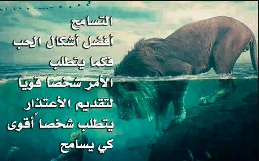  شعر عن تسامح الحبيب 