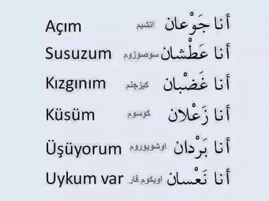 كلمات تركية مشهورة 