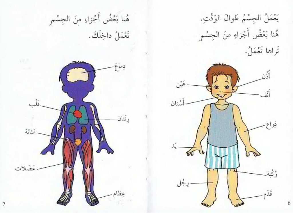 رسم جسم الانسان من الداخل 1