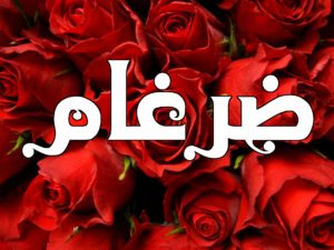 زخرفة اسم ضرغام