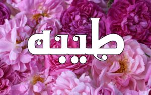 زخرفة اسم طيبة