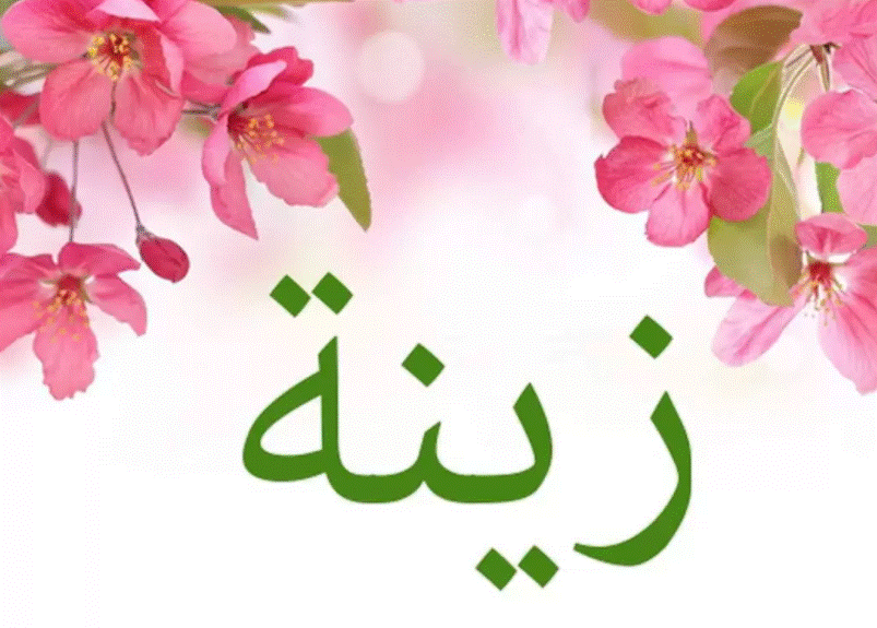 اجمل الصور عن اسم زينة1