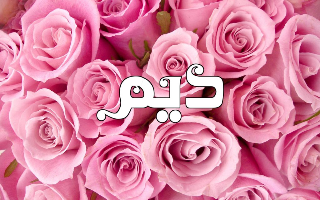 زخرفة اسم ديم 