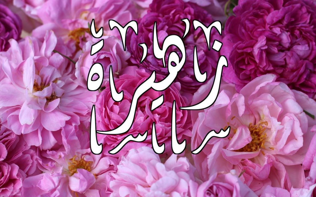 زخرفة اسم زهيرة 