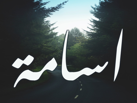 اسم اسامة مزخرف للفيس بوك