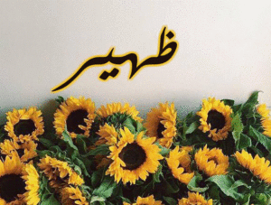 زخرفة اسم ظهير