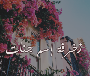 زخرفة إسم جنات