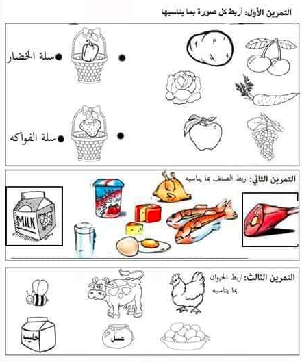امتحانات قسم التحضيري 6