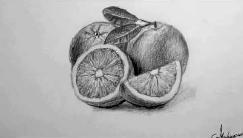 رسم فواكه بالرصاص 1