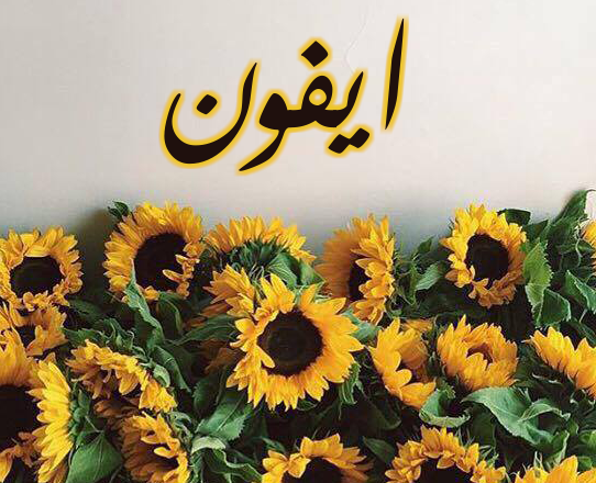 زخرفة ايفون