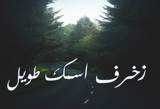 زخرف اسمك طويل