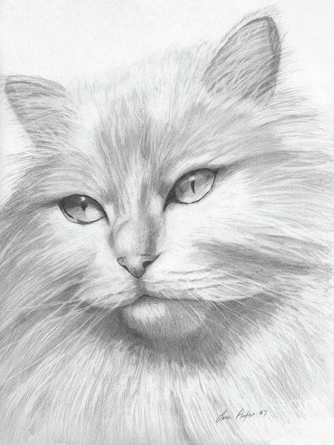 رسومات قطط بالقلم الرصاص 2