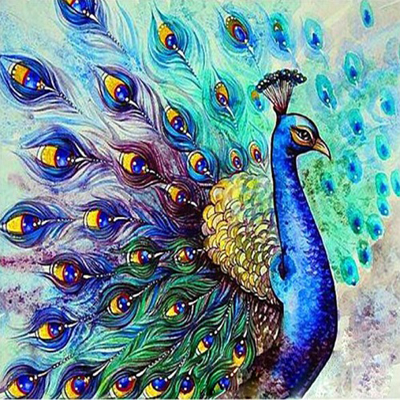 رسومات طاووس ملونة 5