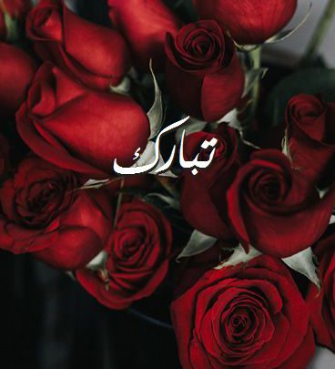 دلع تبارك