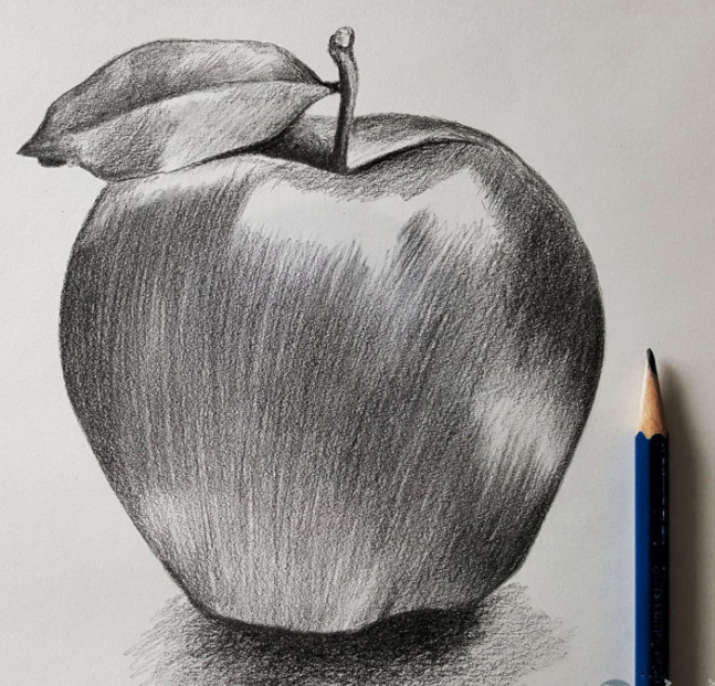 رسم فواكه بالرصاص 2