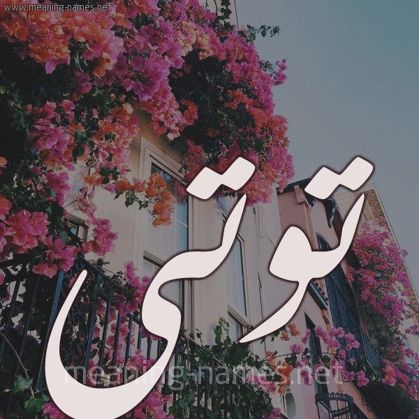اسم توتي مزخرف4
