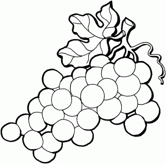 رسم عنقود عنب للتلوين 3