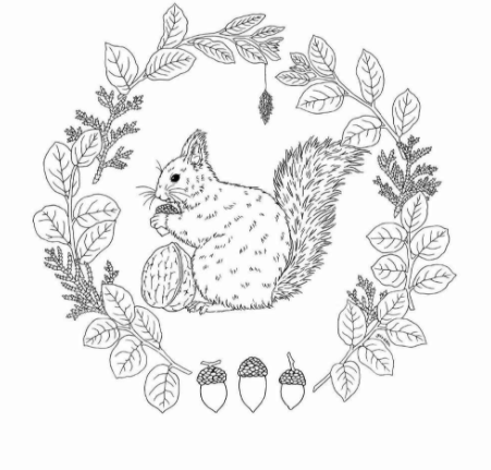 رسومات للتلوين جاهزة للطباعة للكبار 3