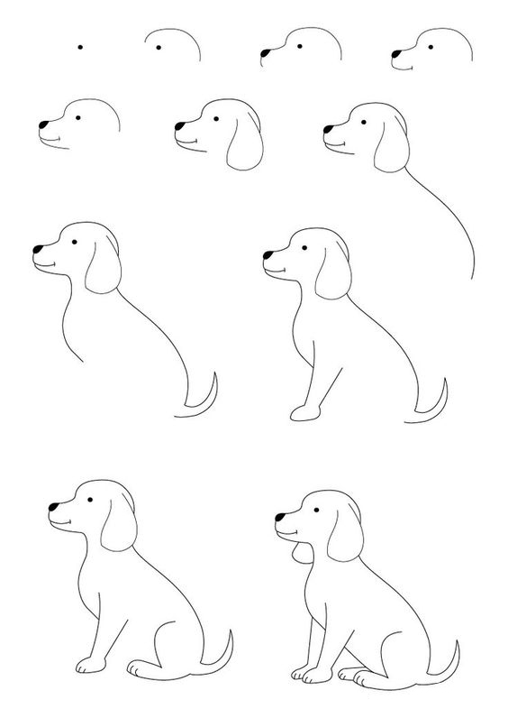 رسم كلاب 4