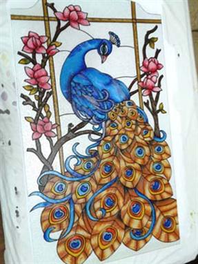 رسومات طاووس ملونة 4