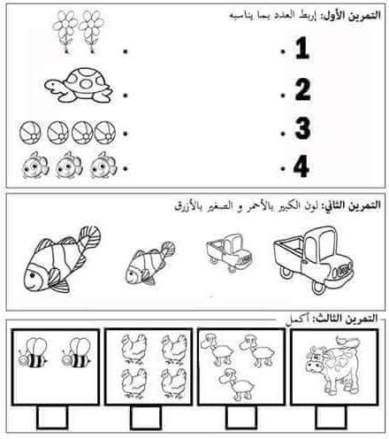 امتحانات قسم التحضيري 1