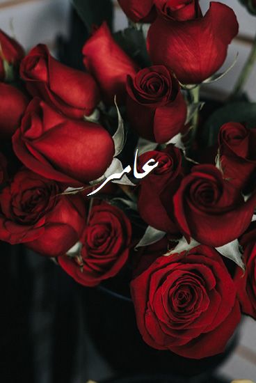 اسم عامر مزخرف بالصور