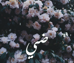 زخرفة اسم ضي
