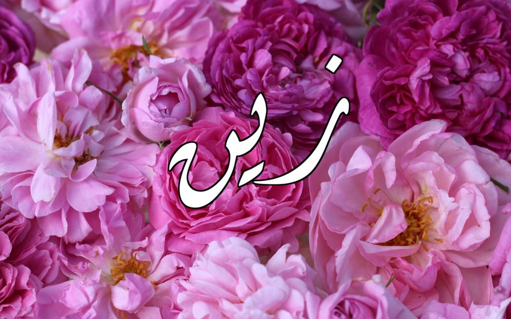 زخرفة إسم زين بالعربي