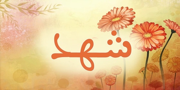 زخرفة إسم شهد ببجي