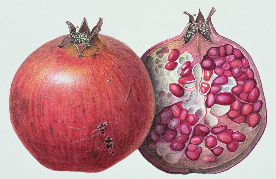 رسم رمان 3