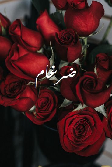 اسم ضرغام بالانجليزي