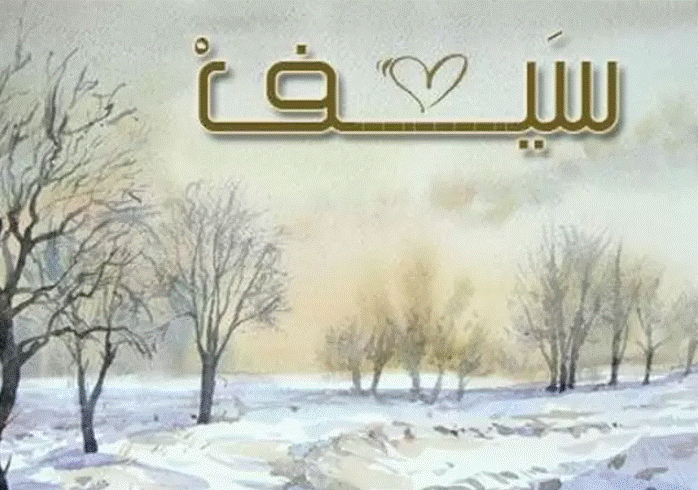 دلع اسم سيف