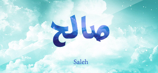 اسم صالح مزخرف بالصور1