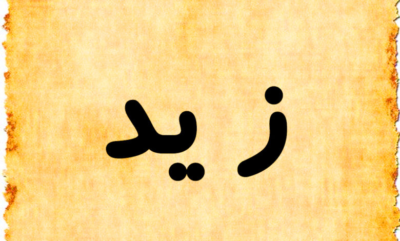 دلع اسم زيد