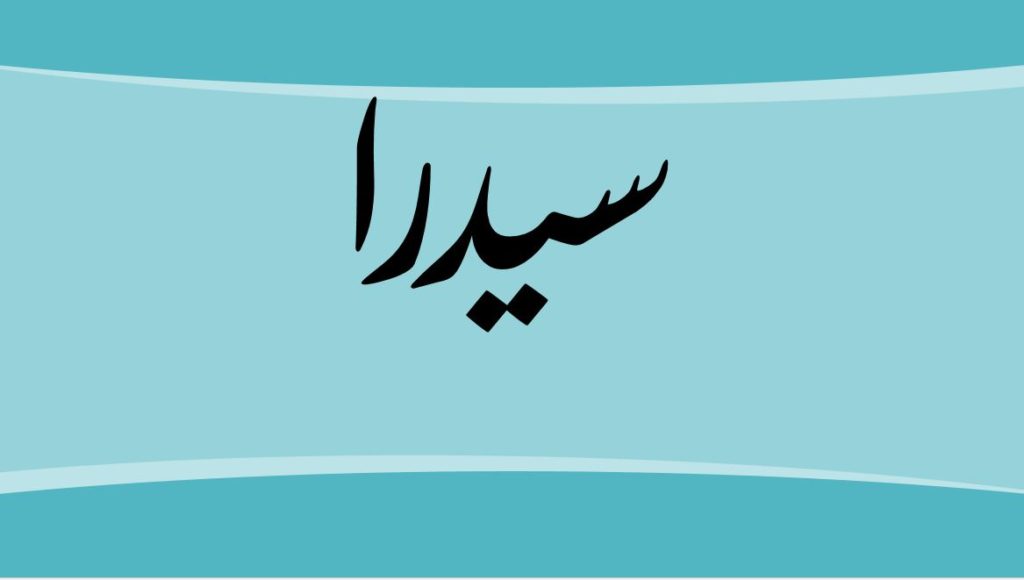 زخرفة اسم sedra