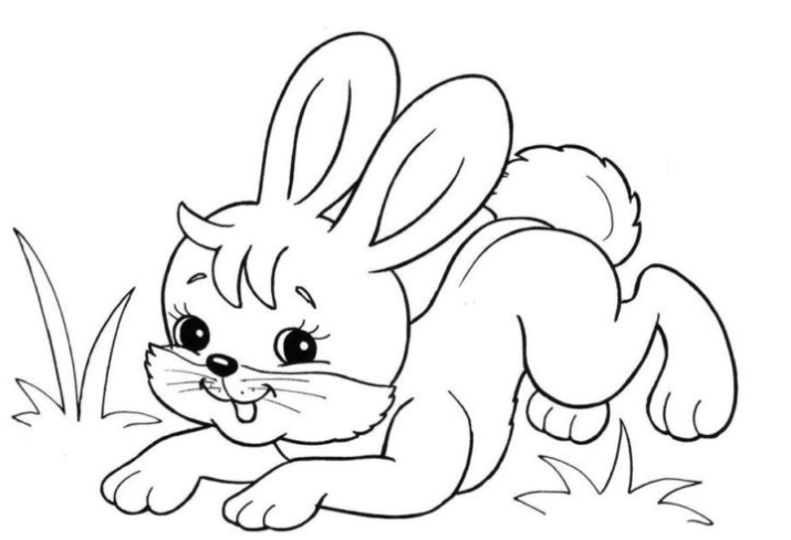 رسومات للتلوين جاهزة للطباعة 3