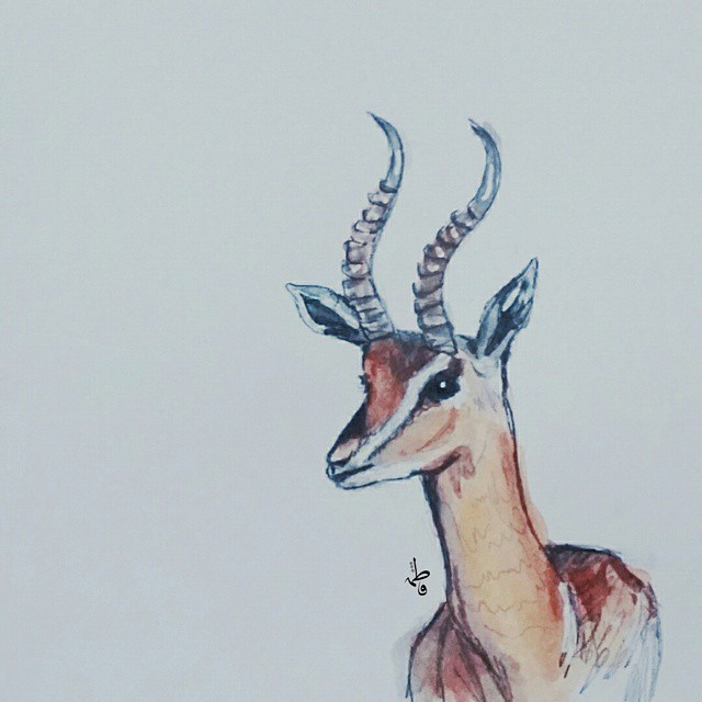 رسم غزالة 1