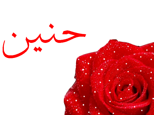رمزيات اسم حنين1