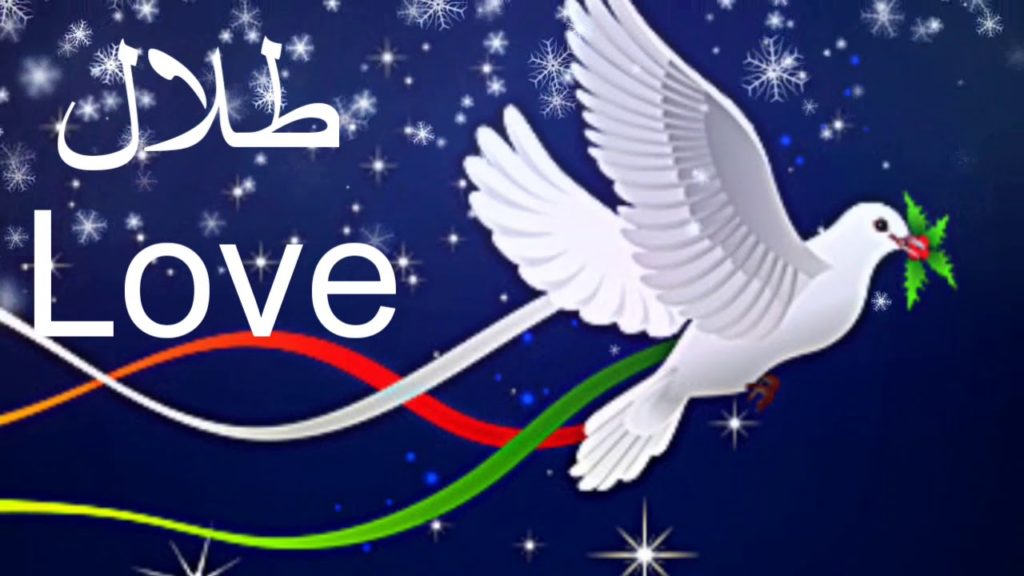 دلع اسم طلال