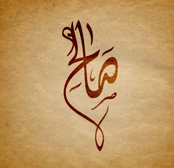 اسم صالح مزخرف بالصور2