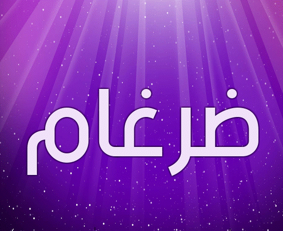 صفات حامل اسم ضرغام