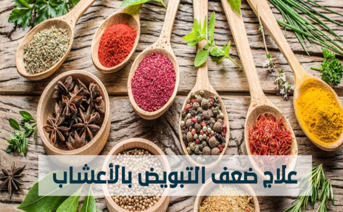 علاج ضعف التبويض بالاعشاب