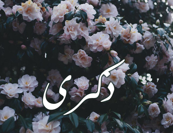 دلع اسم ذكرى