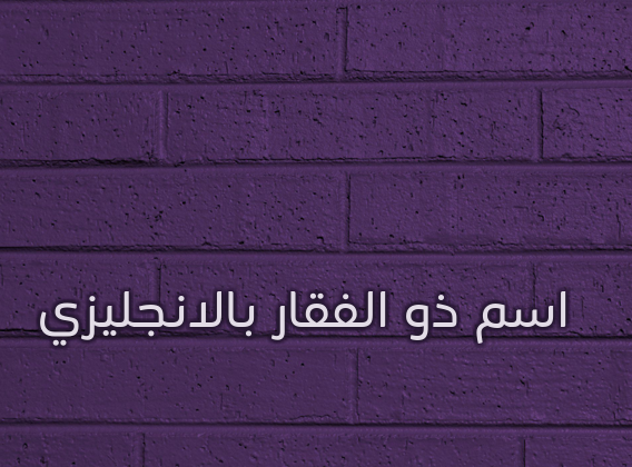 اسم ذو الفقار بالانجليزي