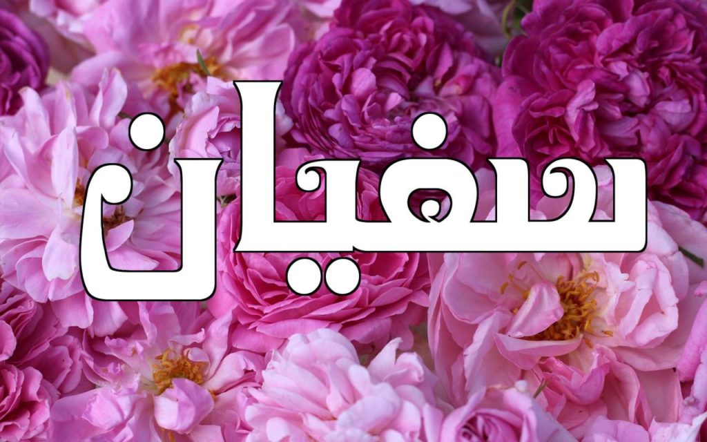 دلع اسم سفيان
